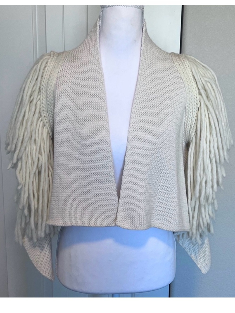Sam & Lili Cream Fringe Sweater Crop
Vest from Paris Made in Italy Wool Blend
